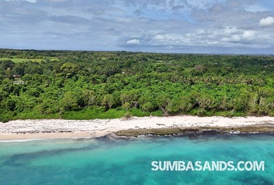 /international/id/kodi-kodi-east-nusa-tenggara-310120100397/