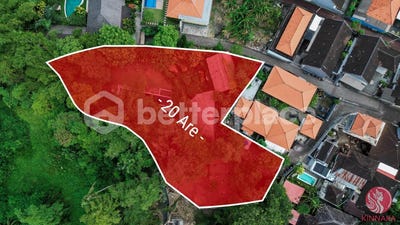 /international/id/padonan-canggu-bali-310098265441/?lang=en