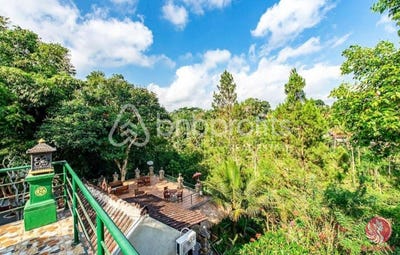 /international/id/tegalalang-ubud-bali-310097617596/?lang=zh-tw