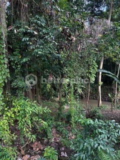 /international/id/dalung-bali-310109652418/