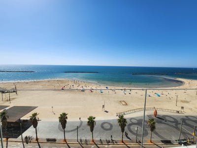 /international/il/tel-aviv-tel-aviv-yafo-310098721162/