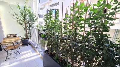 /international/il/tel-aviv-jaffa-tel-aviv-district-310103636623/