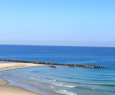/international/il/kikar-netanya-netanya-central-arava-regional-council-310107902496/