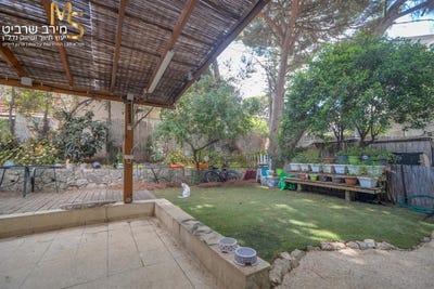 /international/il/haifa-haifa-310106130624/