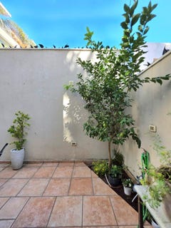/international/il/tel-aviv-tel-aviv-yafo-310103428679/