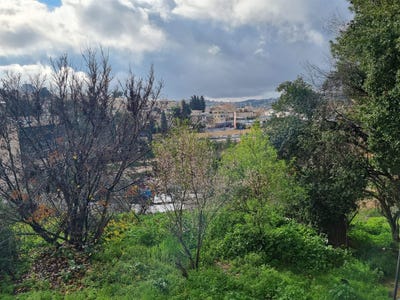 /international/il/jerusalem-jerusalem-310099276892/