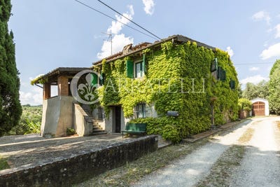 /international/it/lamporecchio-tuscany-310109238768/