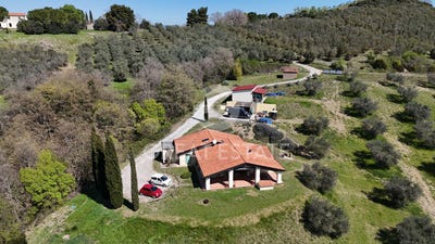 /international/it/cinigiano-tuscany-310107581966/