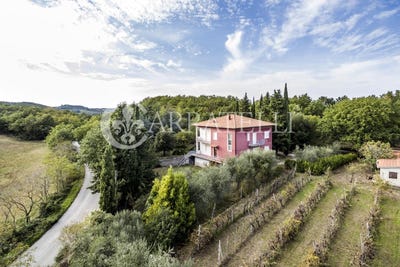 /international/it/montepulciano-tuscany-310099732084/