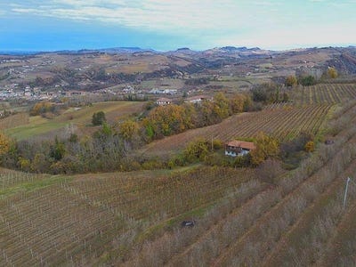 /international/it/dogliani-piedmont-310104008912/