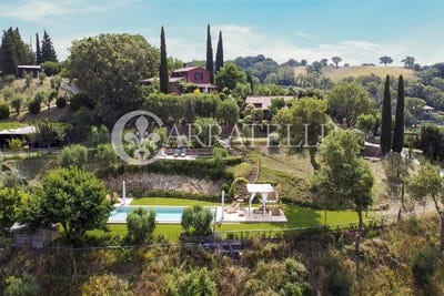 /international/it/scansano-tuscany-310105831983/