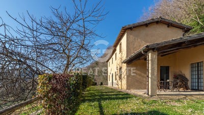 /international/it/castiglione-in-teverina-lazio-310106263365/