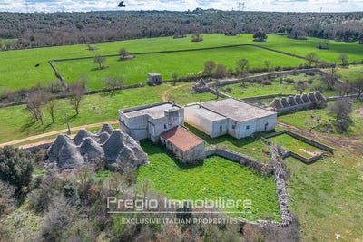 /international/it/noci-apulia-310108996832/?lang=zh-tw