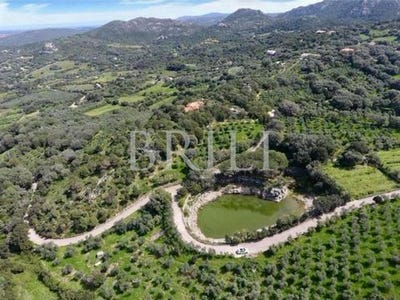 /international/it/via-monti-canu-palau-sardinia-310106880789/