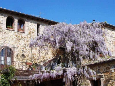 /international/it/grosseto-tuscany-310108322435/