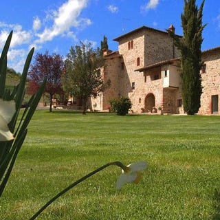 /international/it/pianella-tuscany-310108996714/