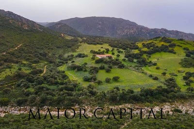 /international/it/berchidda-sardinia-310108317021/