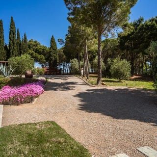 /international/it/campiglia-marittima-tuscany-310108864874/