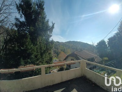 /international/it/bee-piedmont-310107922173/