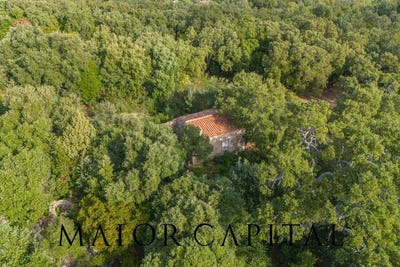 /international/it/calangianus-sardinia-310108316464/