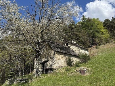 /international/it/craveggia-piedmont-310100934973/?lang=de