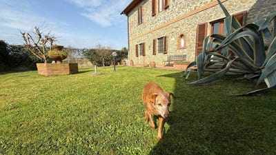 /international/it/pistoia-tuscany-310108322283/