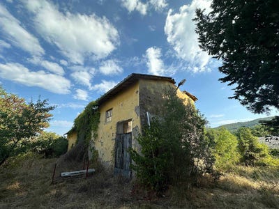/international/it/firenze-tuscany-310108325409/