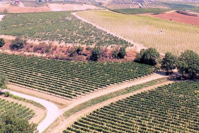 /international/it/montepulciano-tuscany-310107184772/