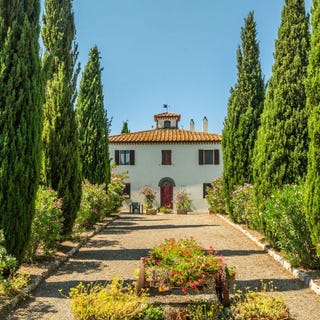 /international/it/scansano-tuscany-310109177036/?lang=es
