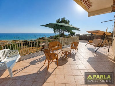 /international/it/zingarello-zingarello-sicily-310108991431/?lang=pt