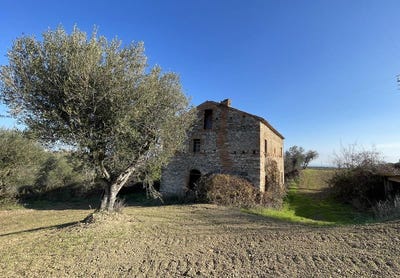 /international/it/massignano-marche-120077494179/?lang=pt