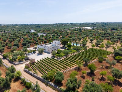 /international/it/castellana-grotte-castellana-grotte-apulia-310108645577/