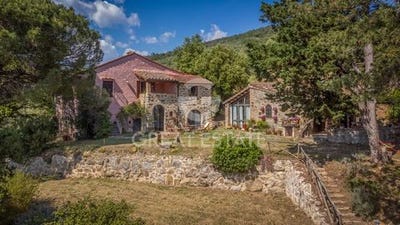 /international/it/tuoro-sul-trasimeno-umbria-310108648838/
