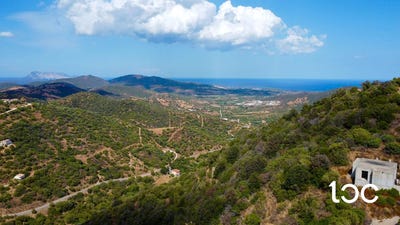 /international/it/torpe-sardinia-310110413571/