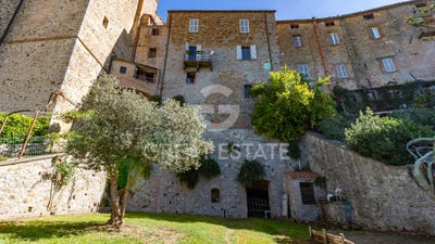 /international/it/ficulle-umbria-310102608086/