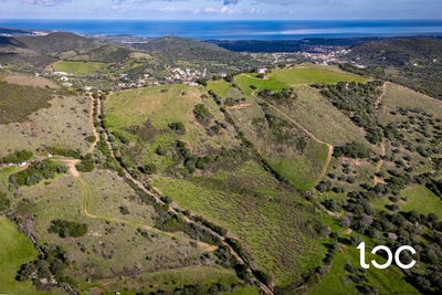 /international/it/budoni-sardinia-310110415803/