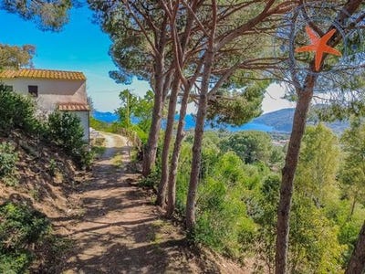 /international/it/capoliveri-tuscany-310107839615/