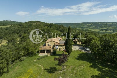 /international/it/scansano-tuscany-310108057388/