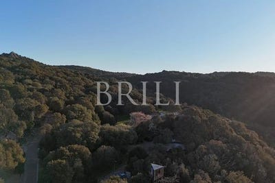 /international/it/san-biagio-aglientu-sardinia-310107374544/