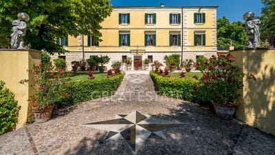 /international/it/trevi-veneto-310108648787/