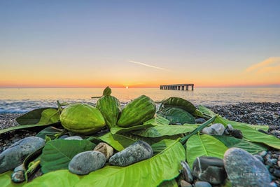 /international/it/119-corso-del-tirreno-marina-di-santa-maria-del-cedro-calabria-310106428556/