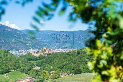 /international/it/die-adresse-erhalten-sie-vom-anbieter-eppan-an-der-weinstrasse-province-of-trento-310101515158/?lang=zh-cn