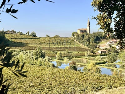 /international/it/sarego-veneto-310106052773/