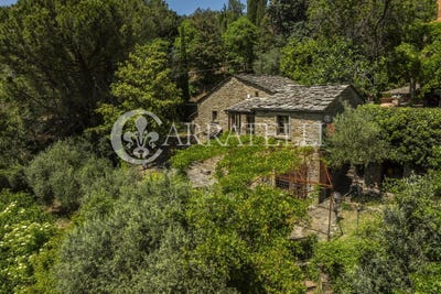 /international/it/cortona-tuscany-310108138903/