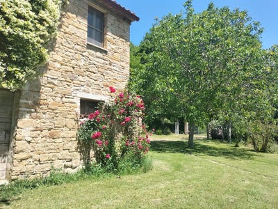 /international/it/serra-san-quirico-marche-310106826154/