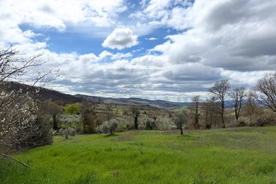 /international/it/san-casciano-dei-bagni-tuscany-310106839763/