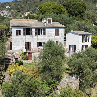 /international/it/zoagli-liguria-310107431073/