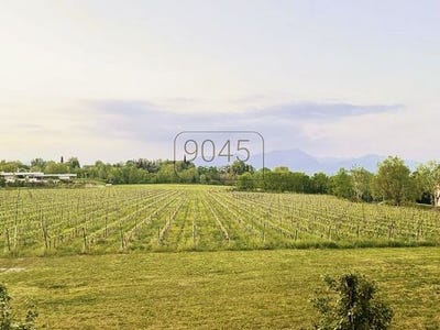 /international/it/die-adresse-erhalten-sie-vom-anbieter-desenzano-del-garda-lombardy-310101515185/