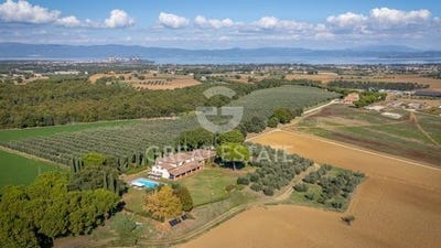 /international/it/castiglione-del-lago-umbria-120089940734/