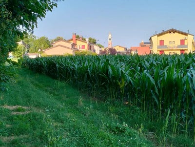 /international/it/veneto-veneto-310101412555/